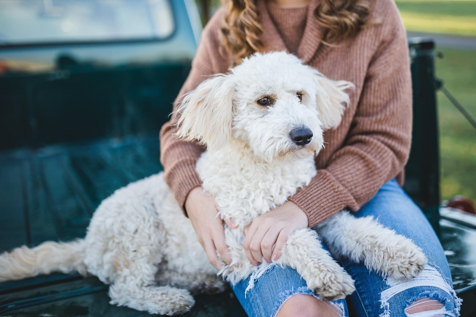 How to Do a 5-Minute Skin Check on Your Dog