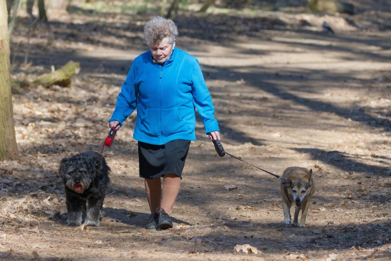 Myth Check: "He's Slowing Down — That's Just Old Age"